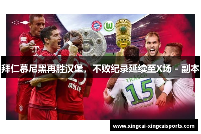 拜仁慕尼黑再胜汉堡，不败纪录延续至X场 - 副本