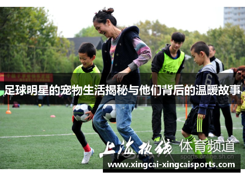 足球明星的宠物生活揭秘与他们背后的温暖故事