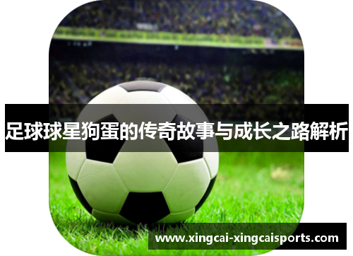 足球球星狗蛋的传奇故事与成长之路解析
