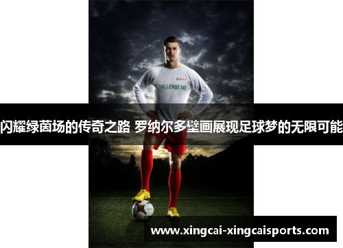 闪耀绿茵场的传奇之路 罗纳尔多壁画展现足球梦的无限可能